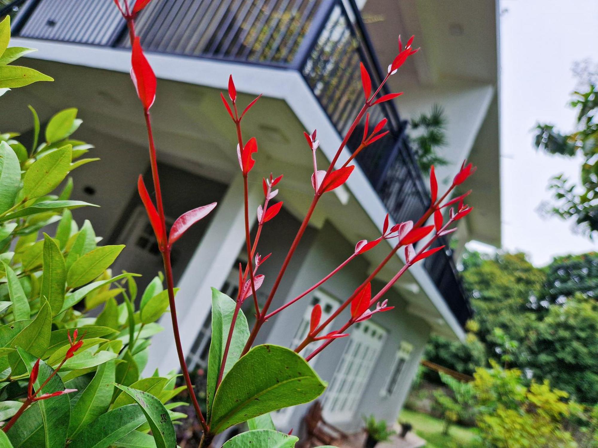 Villa Sole Kandy Exteriér fotografie