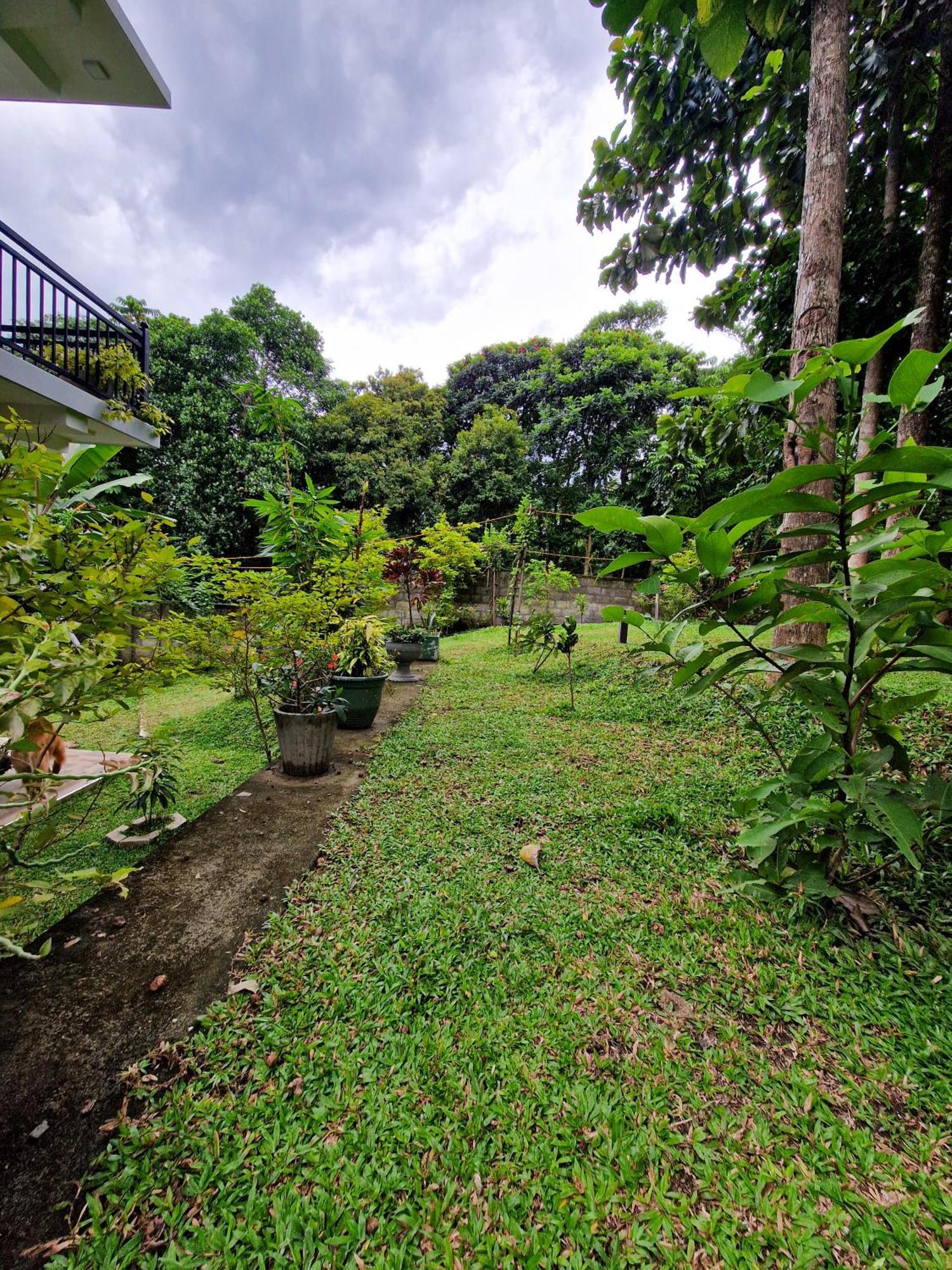 Villa Sole Kandy Exteriér fotografie