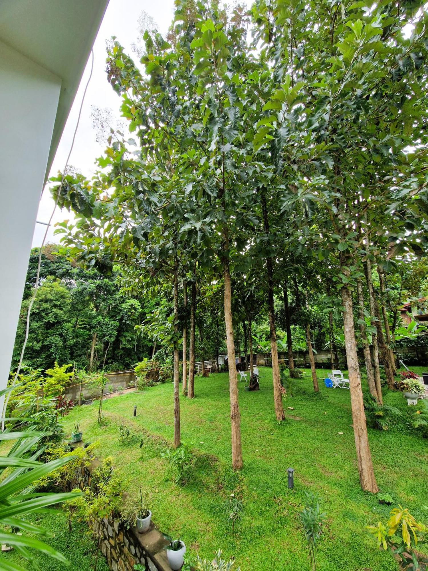 Villa Sole Kandy Exteriér fotografie